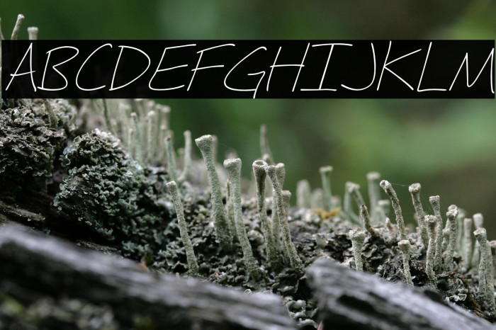 Fh_Hyperbole-LightItalic Example 1