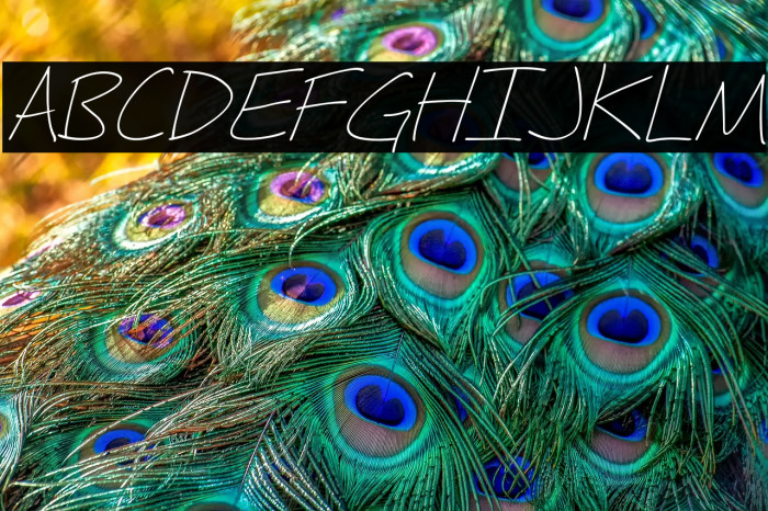 Fh_Hyperbole-LightItalic Example 2