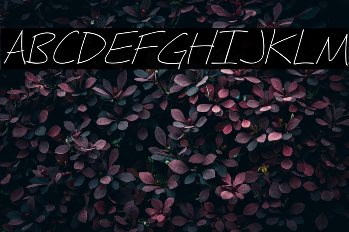 Fh_Hyperbole-LightItalic Example 3