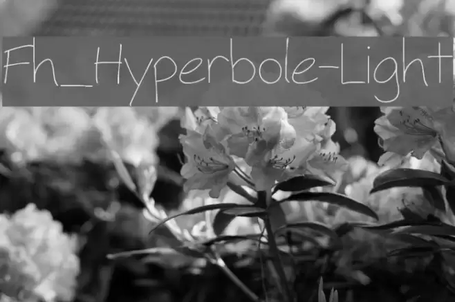 Fh_Hyperbole-Light Font examples