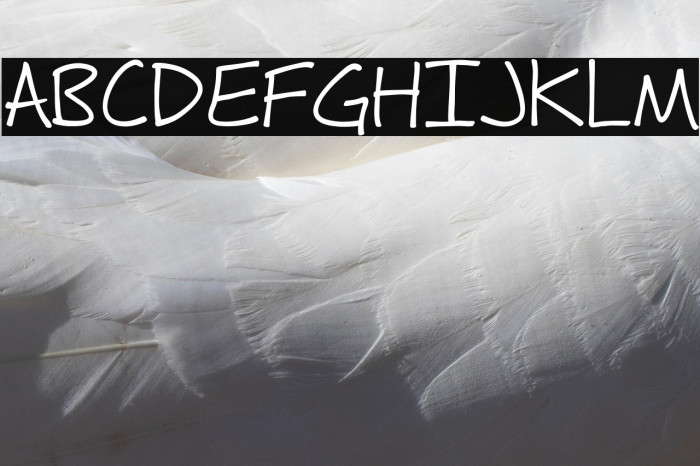 Fh_Hyperbole Example 3