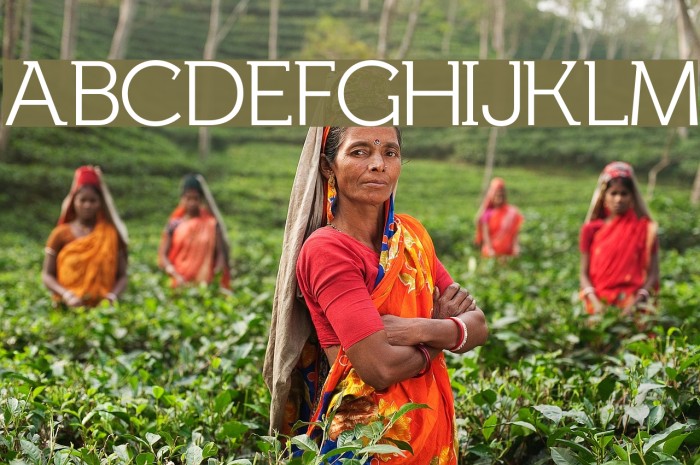 Fh_Lentil Font examples