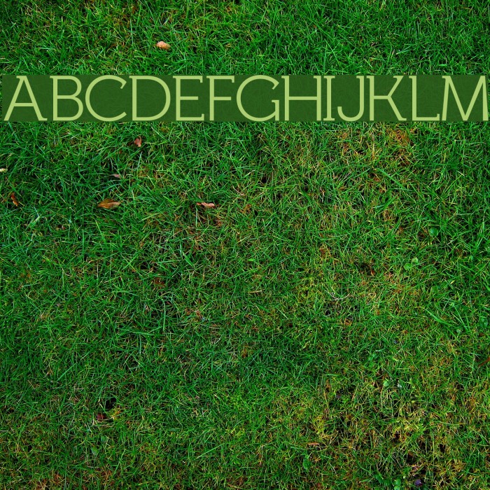Fh_Lentil Font examples