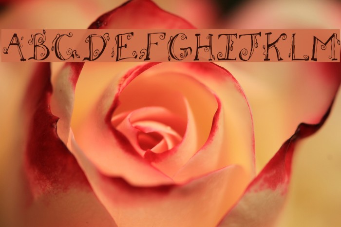 Fh_Letter Font examples