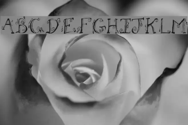 Fh_Letter Font examples