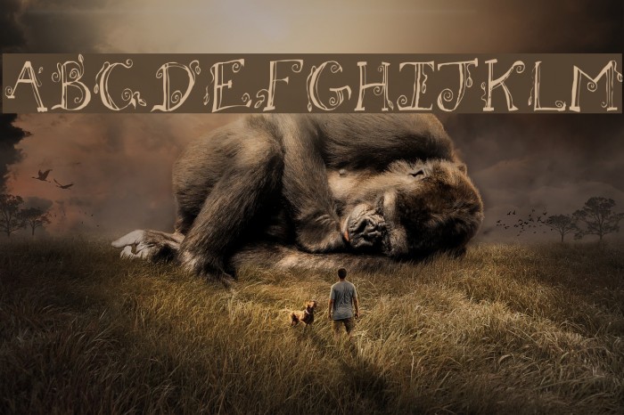 Fh_Letter Font examples