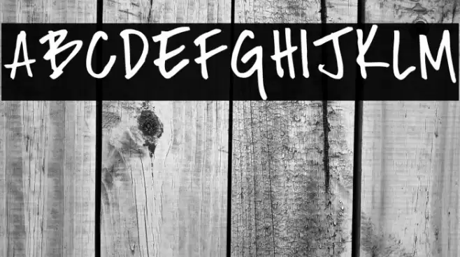 Fh_Nicole Font examples