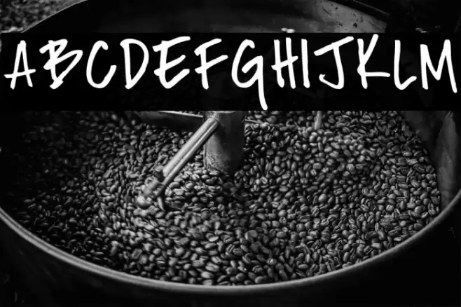 Fh_Nicole Font examples