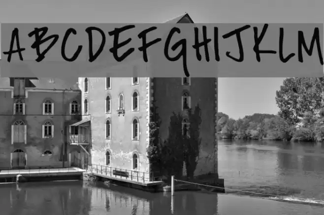 Fh_Nicole Font examples