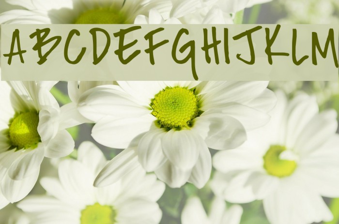 Fh_Nicole Font examples
