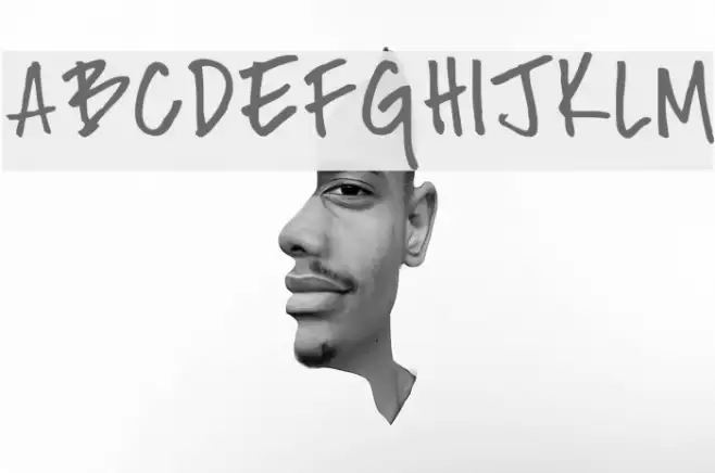 Fh_Nicole Font examples