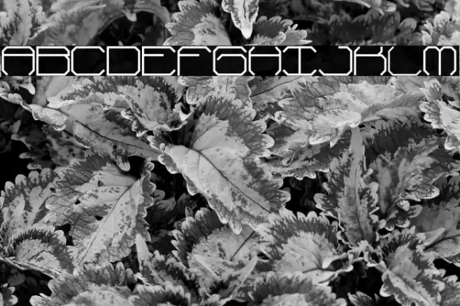 Fh_Reverse Font examples