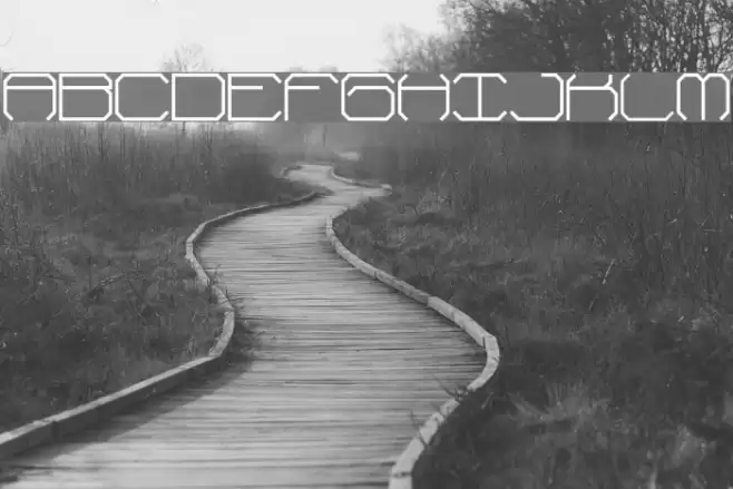 Fh_Reverse Font examples