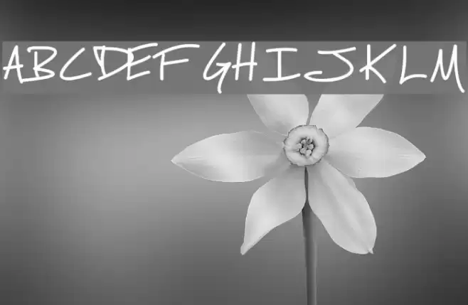 Fh_Script Font examples