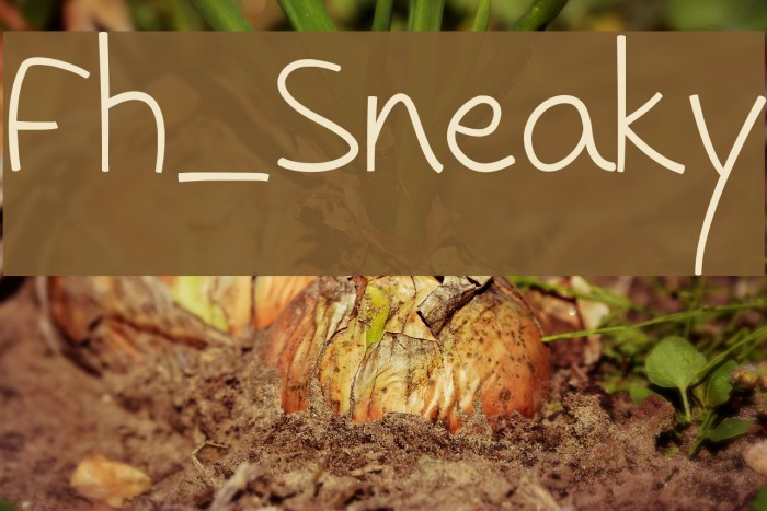 Fh_Sneaky Font examples