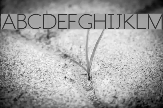 Fh_Space Font examples