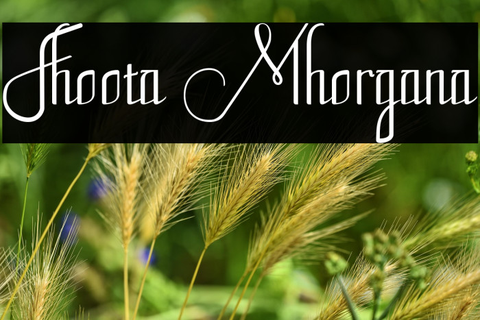 Fhoota Mhorgana Example 1