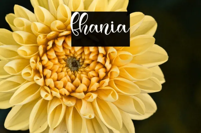fhania Example 2