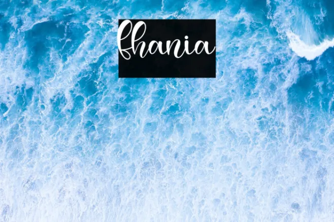 fhania Example 3