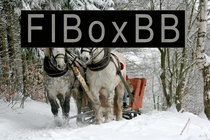 FIBoxBB फ़ॉन्ट examples