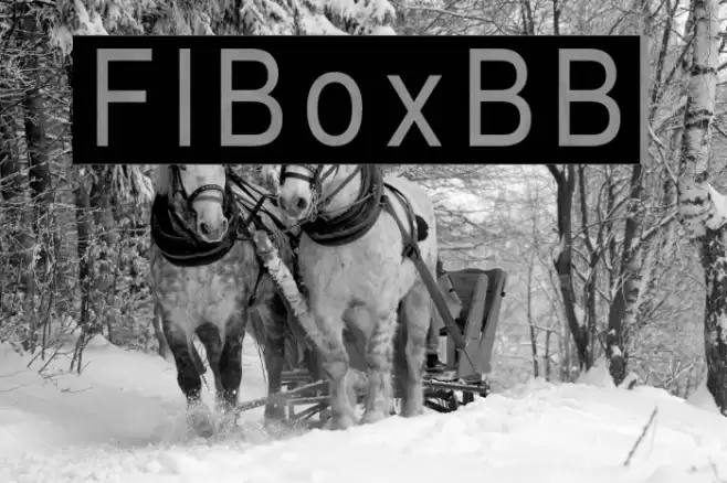 FIBoxBB फ़ॉन्ट examples