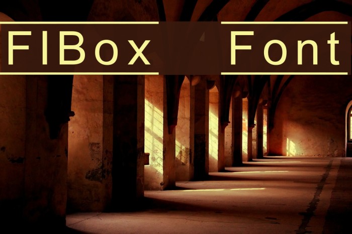 FIBox Font examples