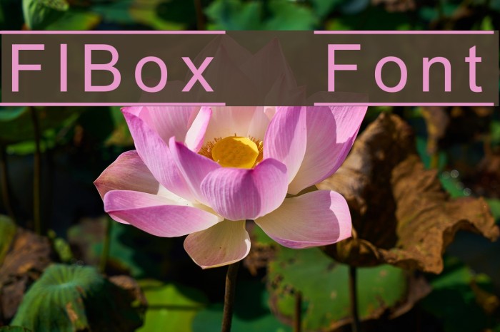 FIBox Font examples