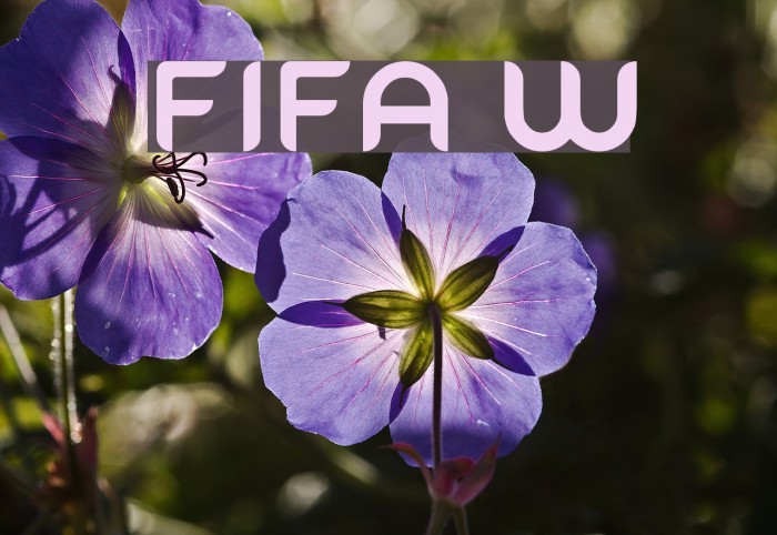 FIFA Welcome Font examples