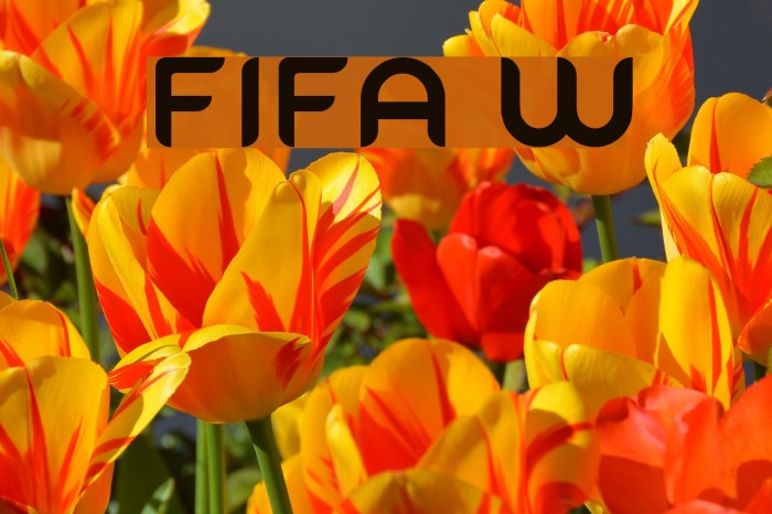 FIFA Welcome Font examples