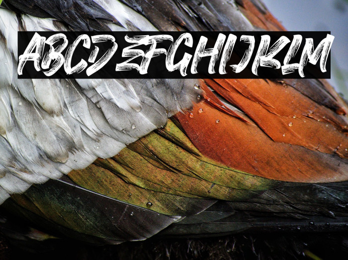 FIGHTER BRUSH Example 1