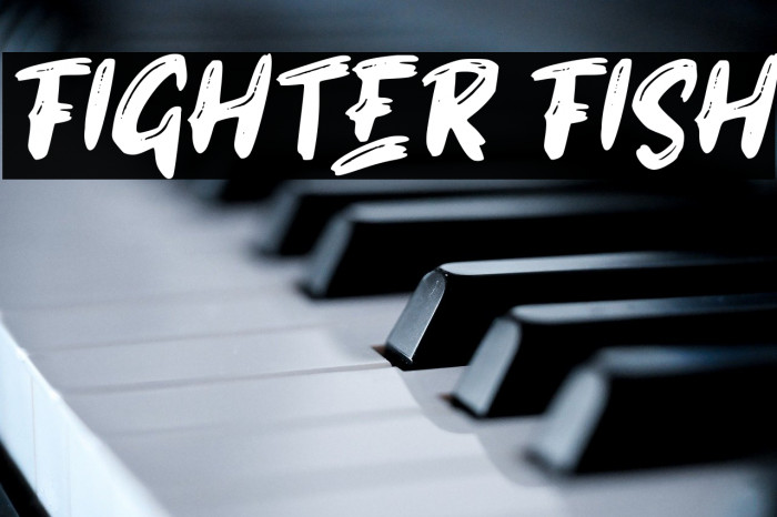 FIGHTER FISH Example 1