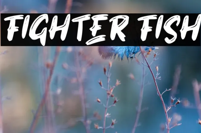 FIGHTER FISH Example 2