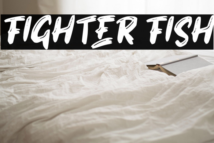 FIGHTER FISH Example 3