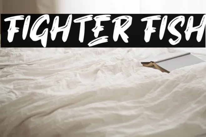 FIGHTER FISH Example 3