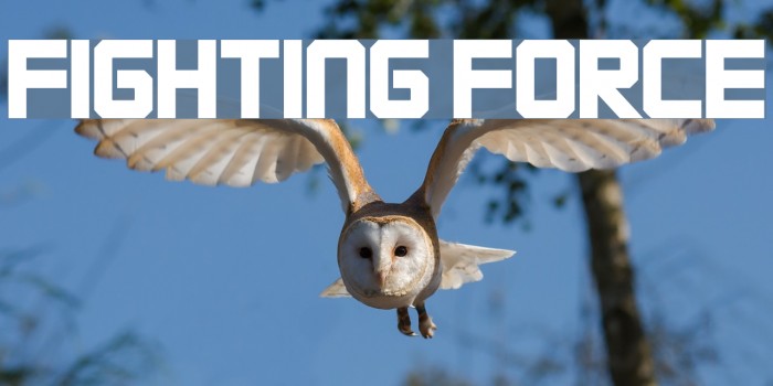 FIGHTING FORCE Font examples