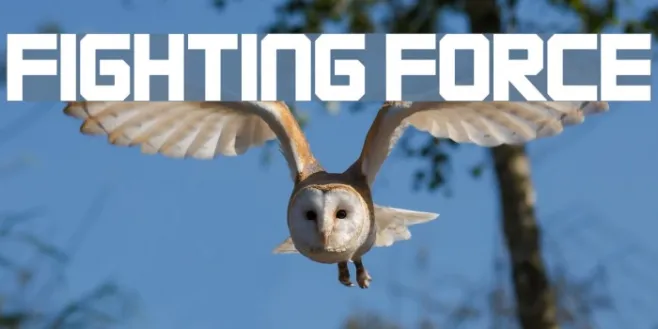 FIGHTING FORCE Example 1