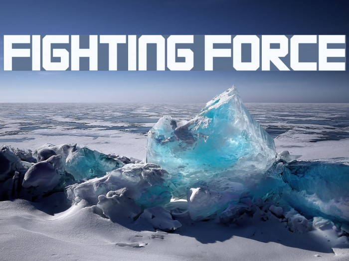 FIGHTING FORCE Font examples