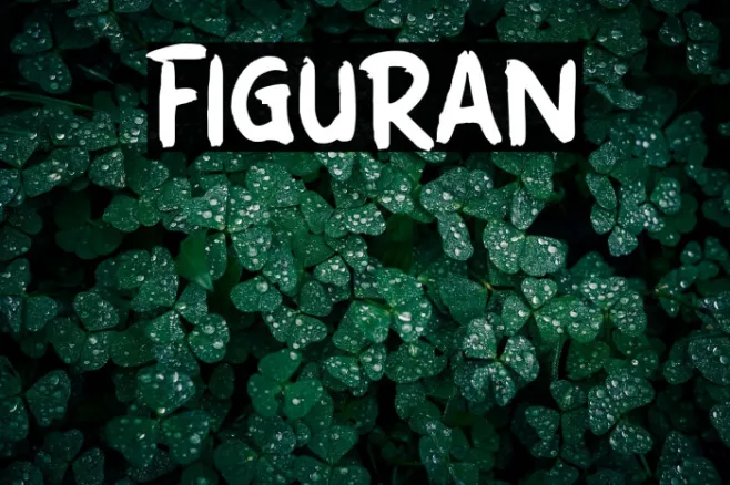 FIGURAN Example 1