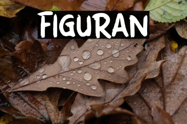 FIGURAN Example 3