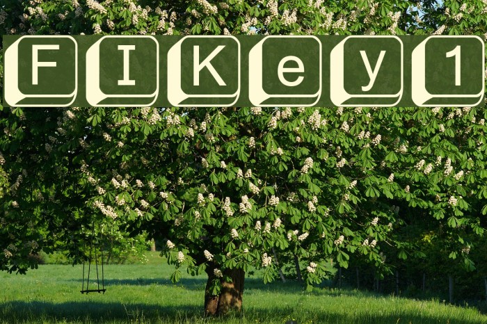 FIKey1 Font examples