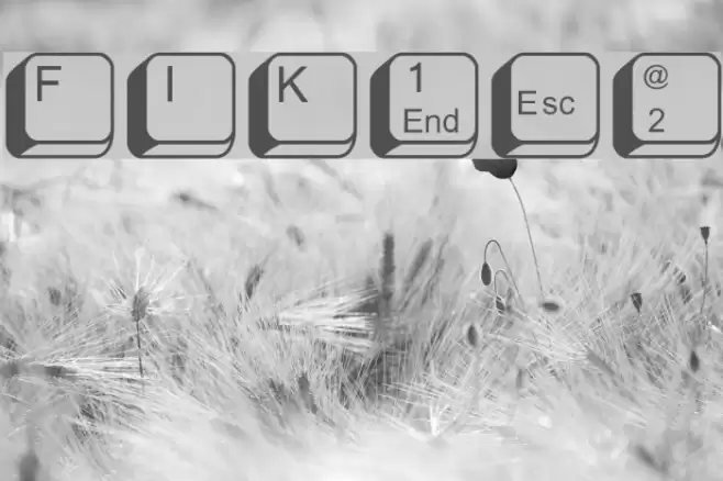 FIKey2 Font examples