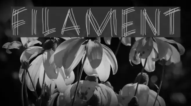 FILAMENT Font examples