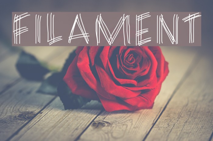 FILAMENT Font examples
