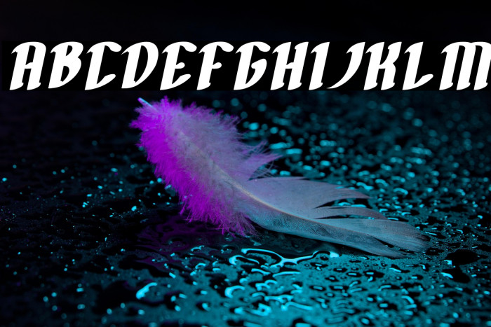 FILLET O FISH Bold Italic Example 1