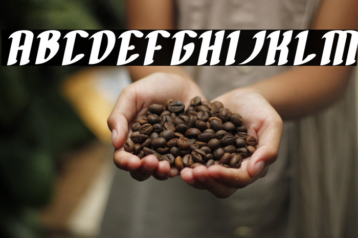 FILLET O FISH Bold Italic Example 2