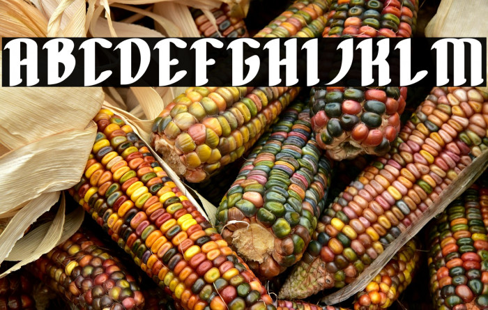 FILLET O FISH Bold Example 2