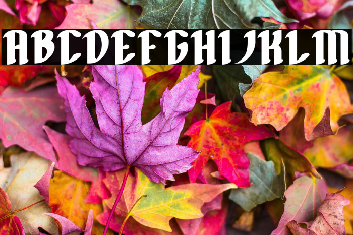 FILLET O FISH Bold Example 3