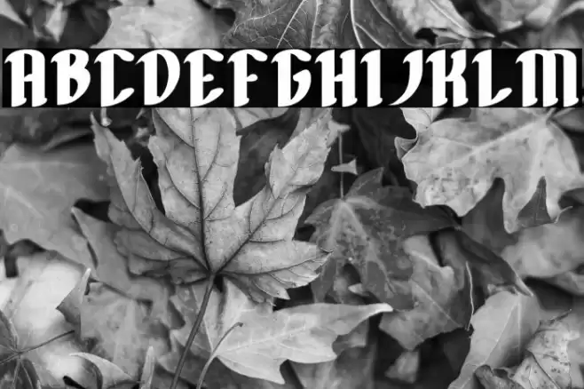 FILLET O FISH Bold Font examples