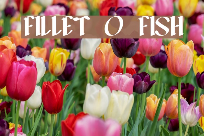 FILLET O FISH Font examples