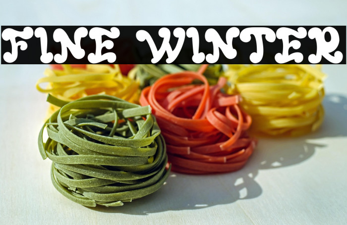 FINE WINTER Example 1